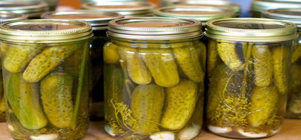 تصویر 5 از قیمت خرید ترشی خیارشور ترد + فروش ویژه
